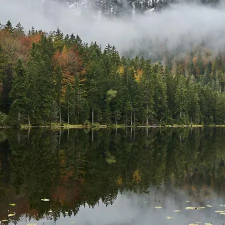 In - Bayerischer Wald 50007
