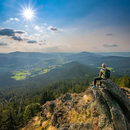 In - Bayerischer Wald 50007 *